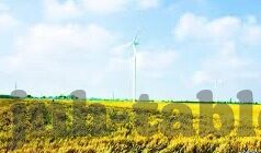 九游游戏中心免费下载app优化-提升用户体验，九游游戏中心免费下载App的优化探索